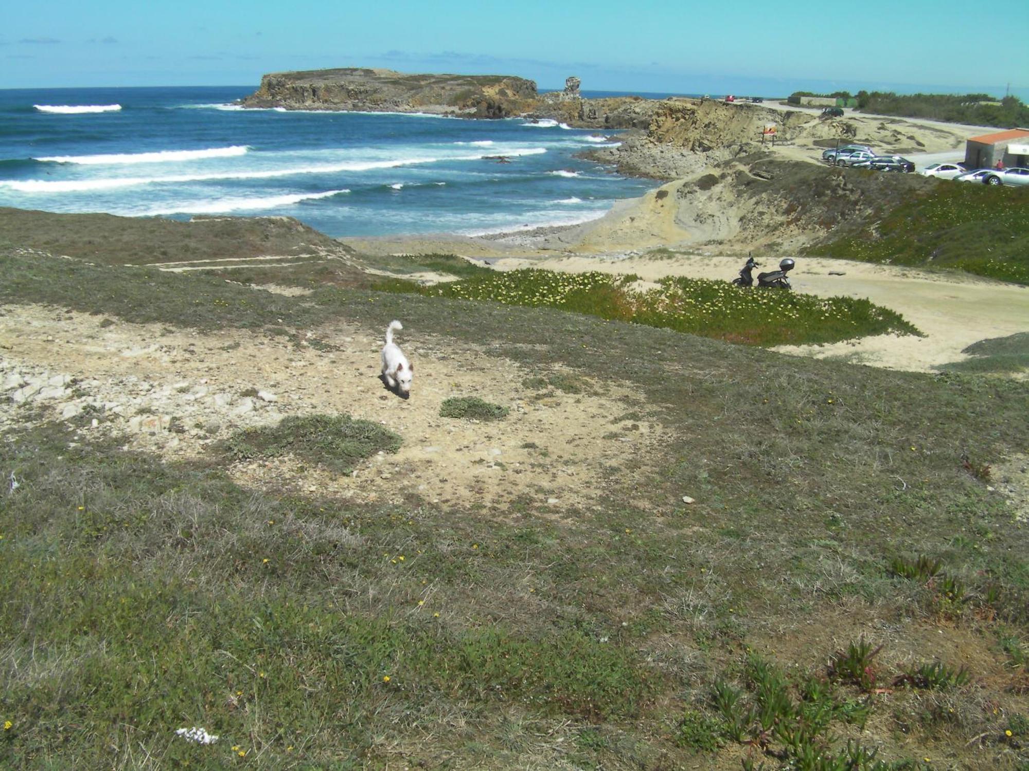 Peniche Surf Lodge 1 Eksteriør bilde